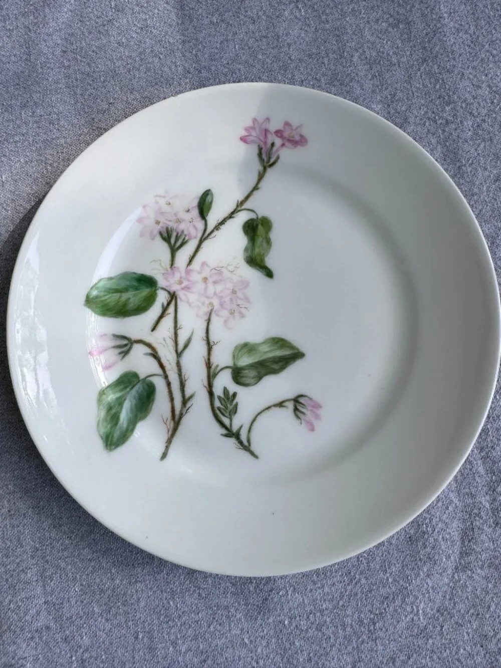 Haviland Limoges Floral Plates – Antique French Porcelain